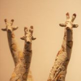 img_0121%e6%ad%a3%e6%96%b9%e5%bd%a2