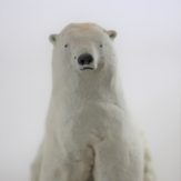 img_0370%e7%99%bd%e3%81%8f%e3%81%be%e6%ad%a3