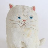 img_0874%e7%99%bd%e7%8c%ab%e6%ad%a3