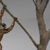 img_8526%e3%83%8a%e3%83%9e%e3%82%b1%e6%ad%a3%e6%96%b9%e5%bd%a2